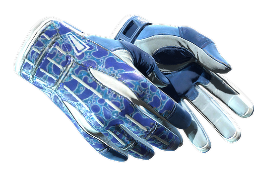 ★ Sport Gloves | Amphibious (Minimal Wear)