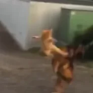 \..../